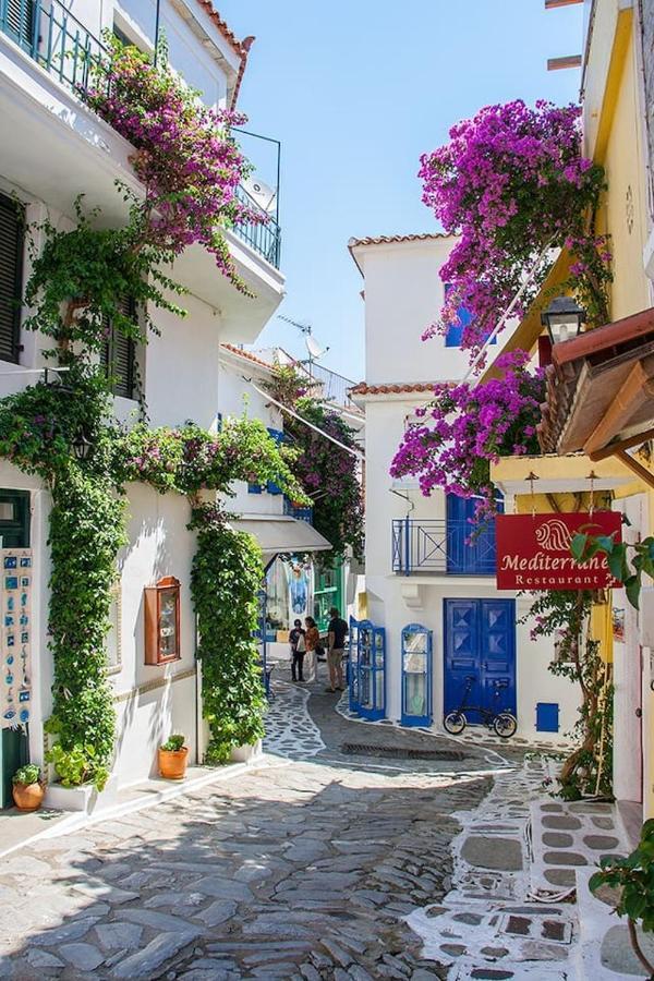 Mikri Gonia Villa Skiathos stad Exteriör bild